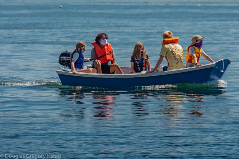 200801  DSC0156 768x512