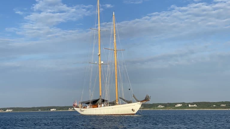 IMG 2117 768x432