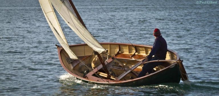 IMG 2771 © 768x337
