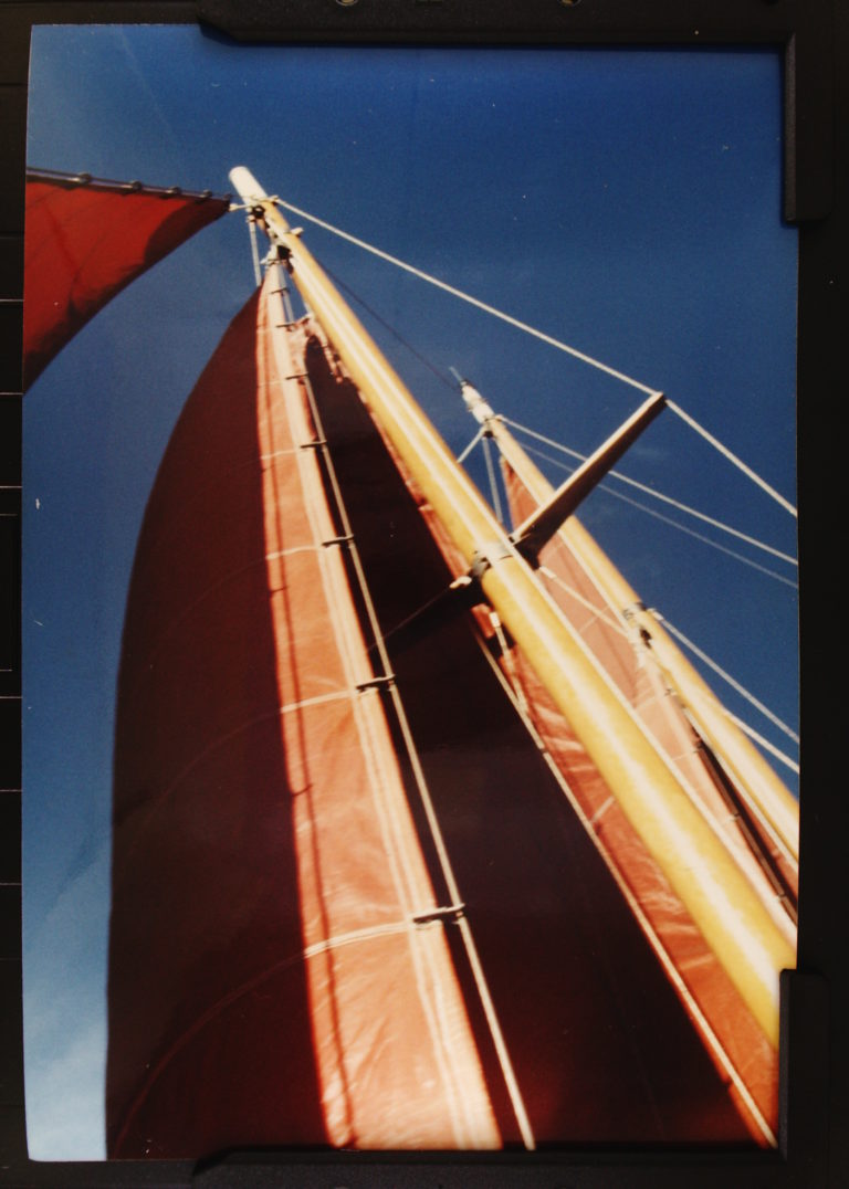 PICT0084 768x1076