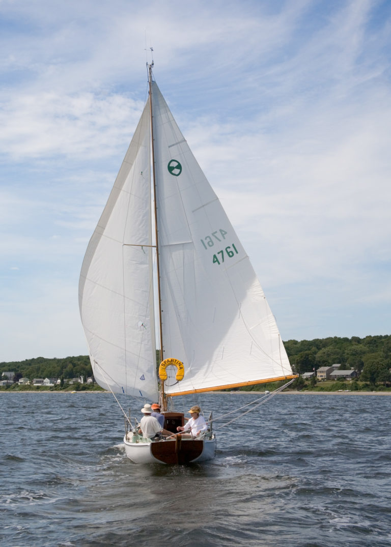 Spartina wing and wing 768x1075