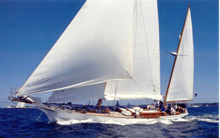 TiPic3 768x481