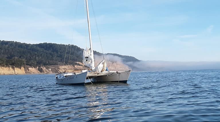Ano Nuevo2 768x427