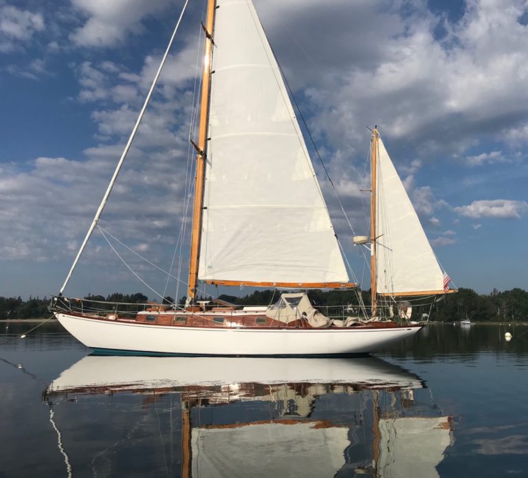 Aquila 768x696
