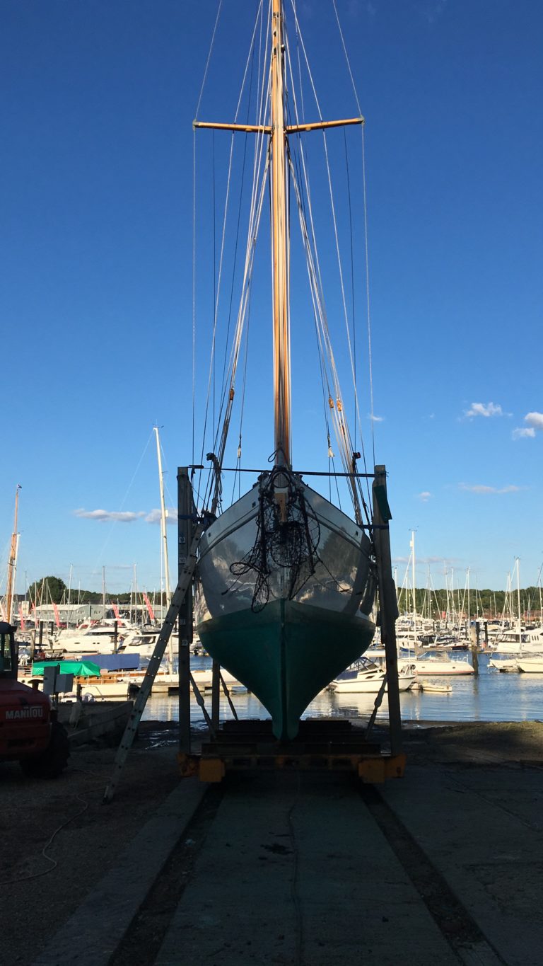 Ashore2 768x1365