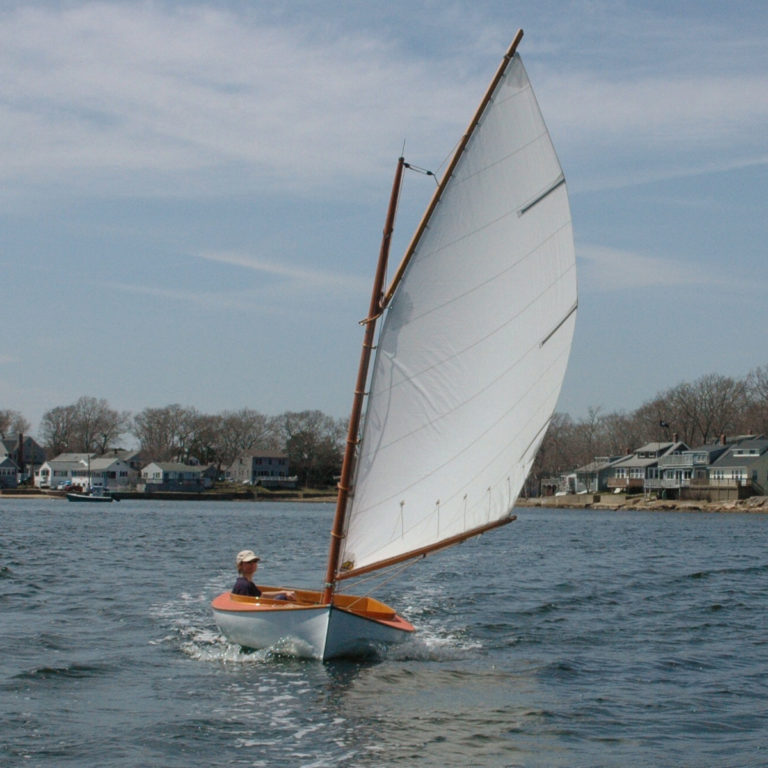 Beetle Cat Sailing 1 1 768x768