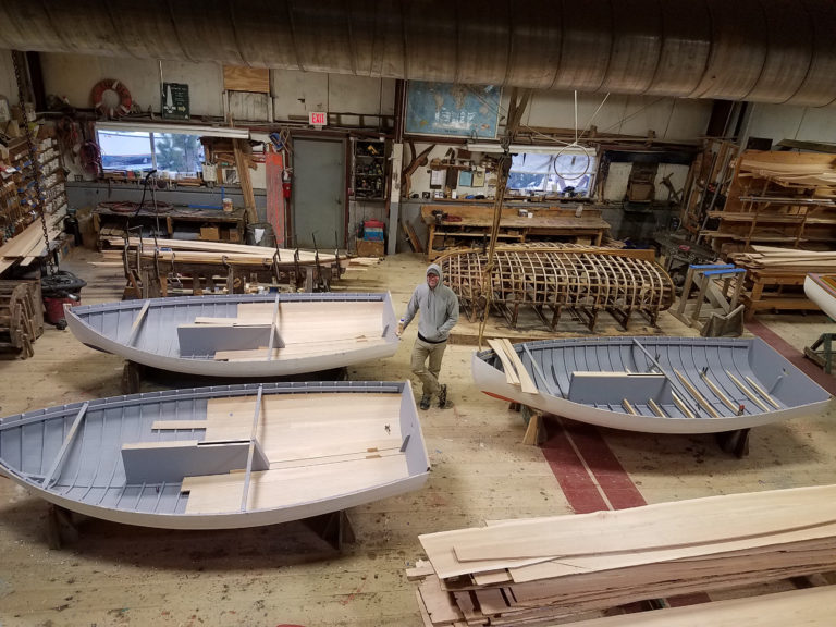 Beetle Cats Building New 768x576