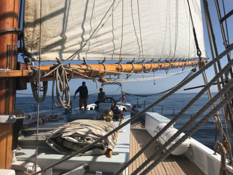 Bowdoin 768x576