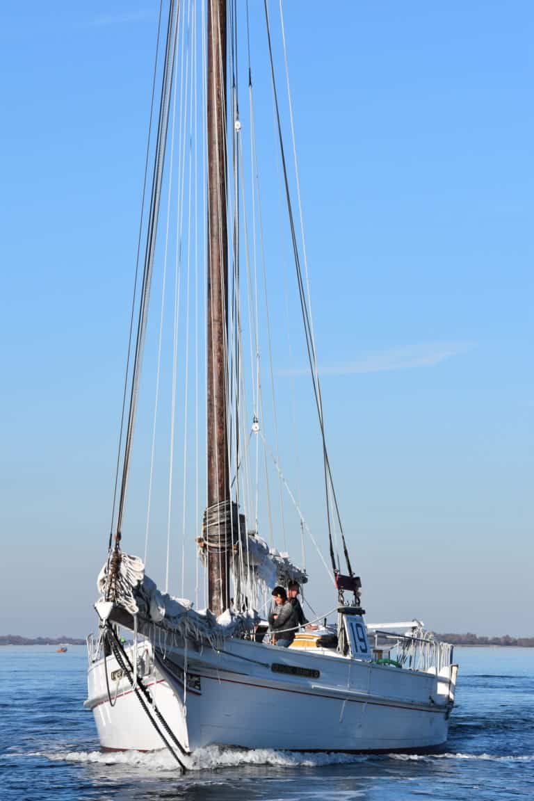 CBMM RosieParks onthewater 768x1152