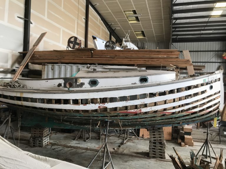 Catboat 3 768x576