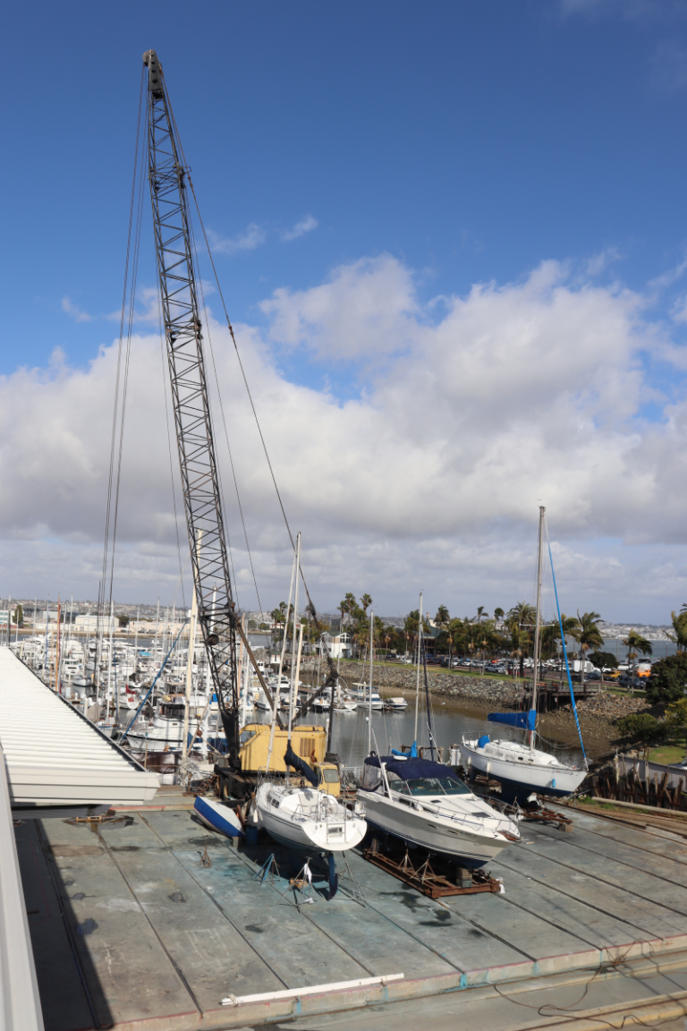 Crane 768x1152