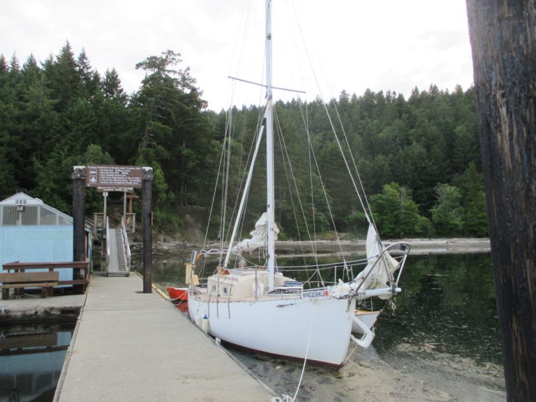 Cutter 768x576