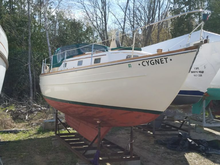 Cygnet 1 768x576