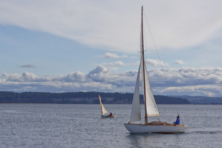 DSC0693 DxO 768x512