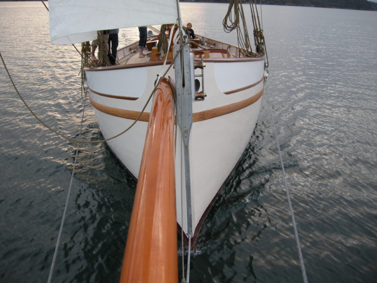 DSCN0319 768x576