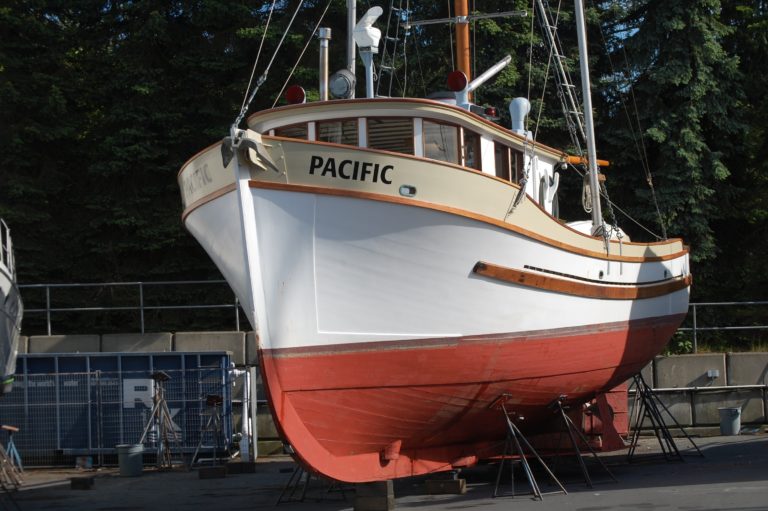 DSC 0105 768x511