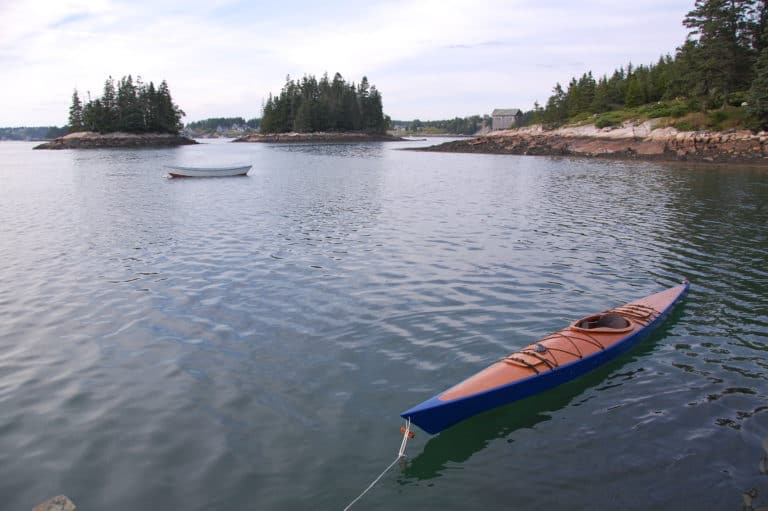 DSC 0204.JPG 768x511