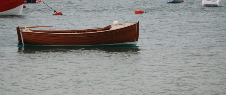 DSC 0432 768x324