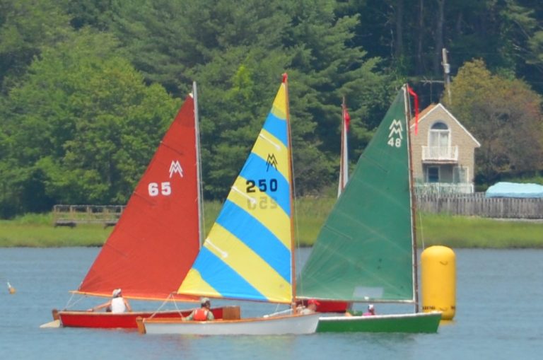 DSC 0924 768x509