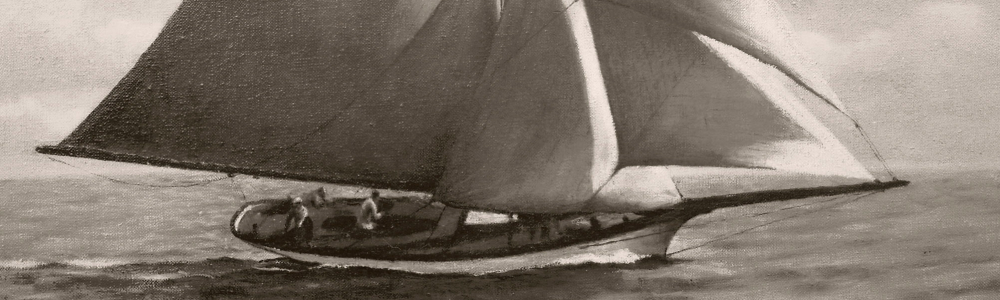 User banner image