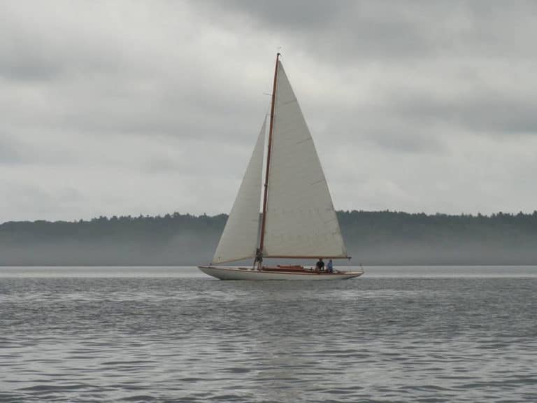 IMG 0140 768x576