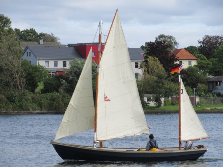 IMG 0284 768x576