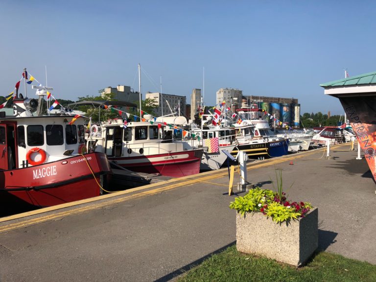 IMG 0481 768x576