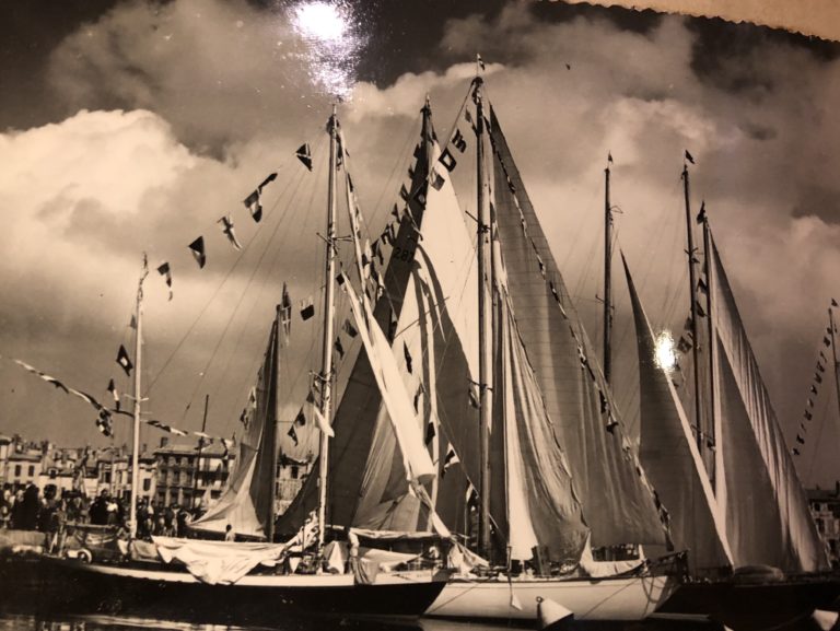 IMG 0693 768x577