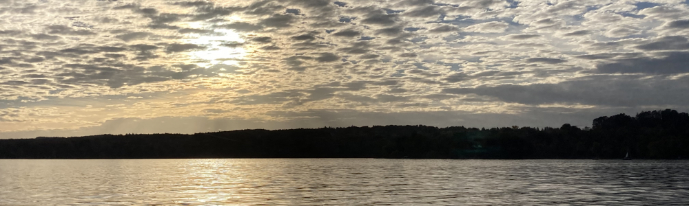 User banner image