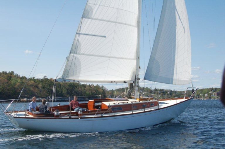 IMG 4043 768x511