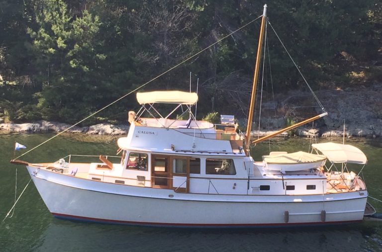 IMG 5137 768x507