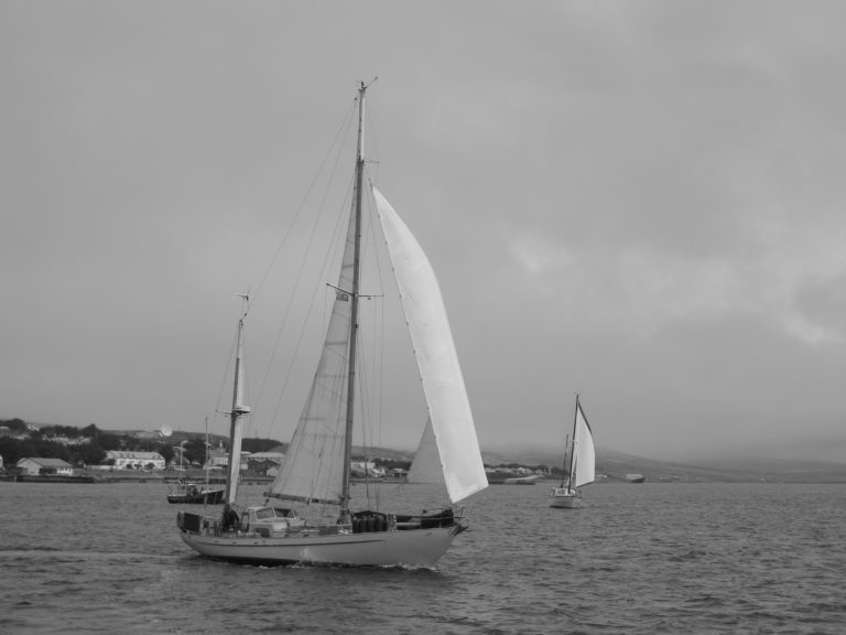 IMG 5997 768x576