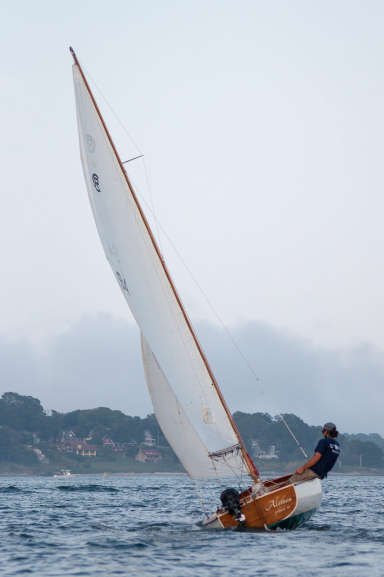 IMG 7510 768x1152