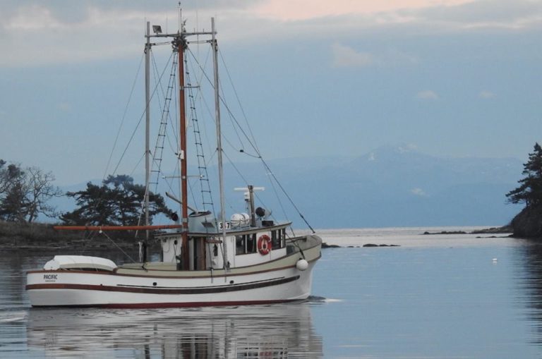 Pacific2 768x509