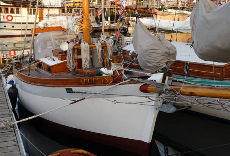 Puffin1 768x521