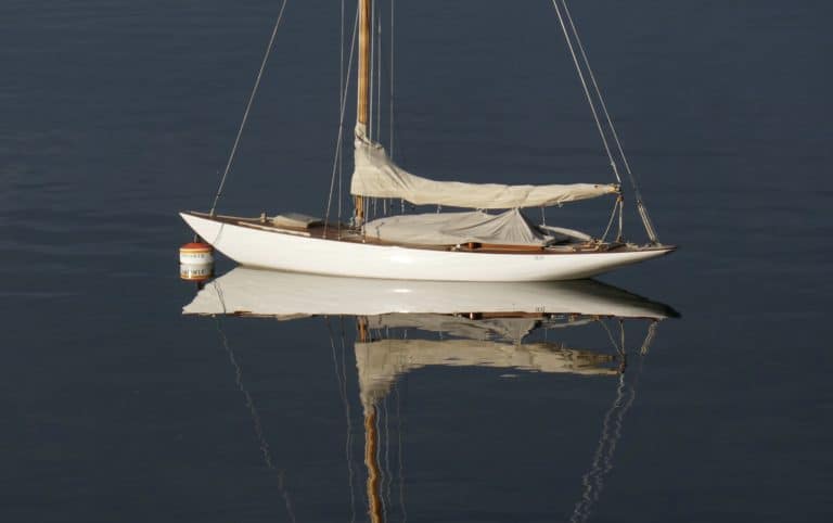 Reflection copy 768x482