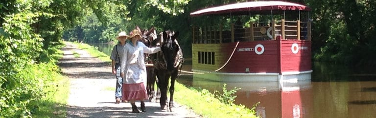 Ride Canal Boat 768x241