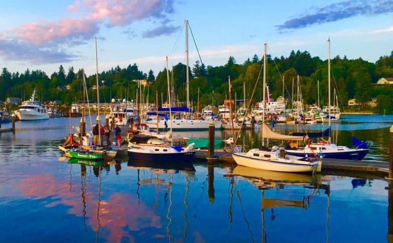 Salish 100 768x476