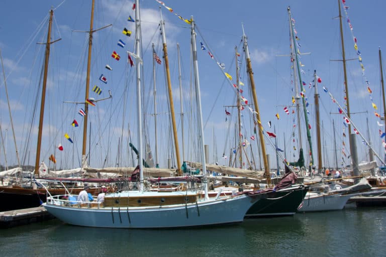 WBF 2010 000441 768x512