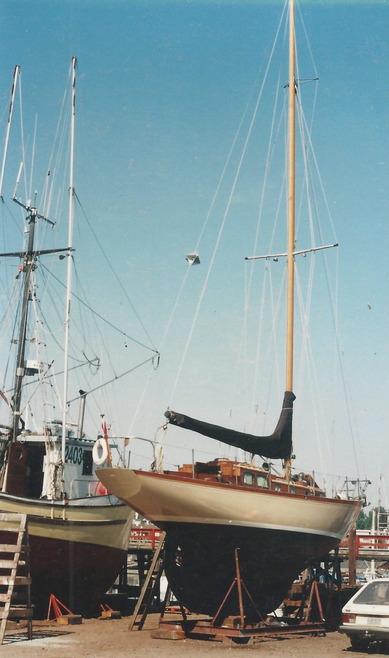 ashore 768x1297