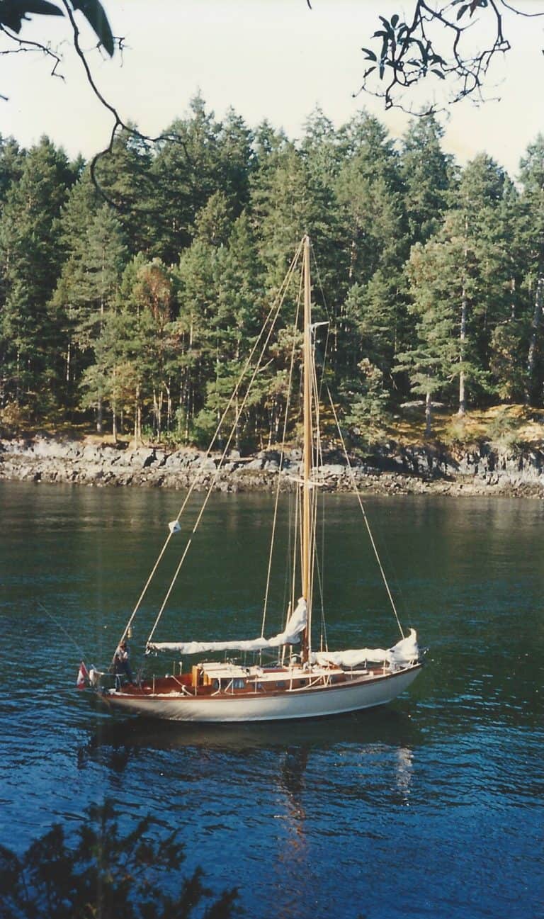 atanchor 768x1297
