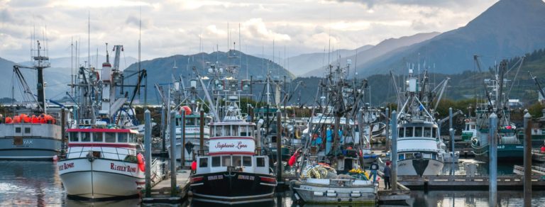 comfish 768x292