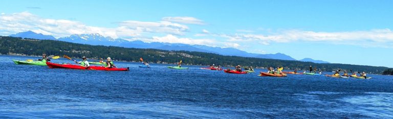 kitsap 768x233