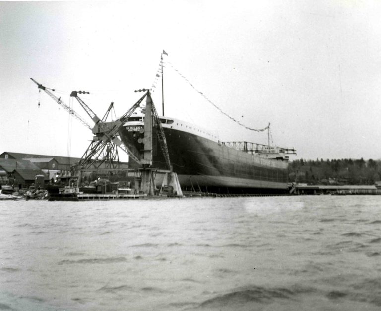 marine3 768x626