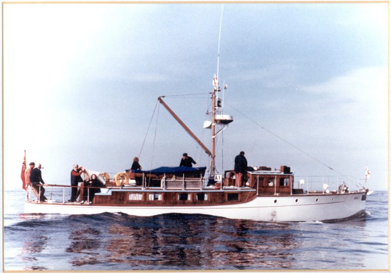 mersea 768x537