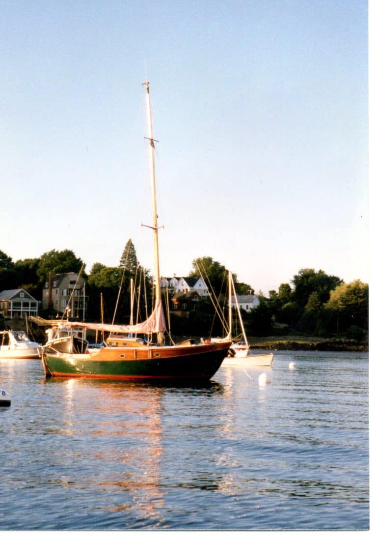 otter2 768x1097