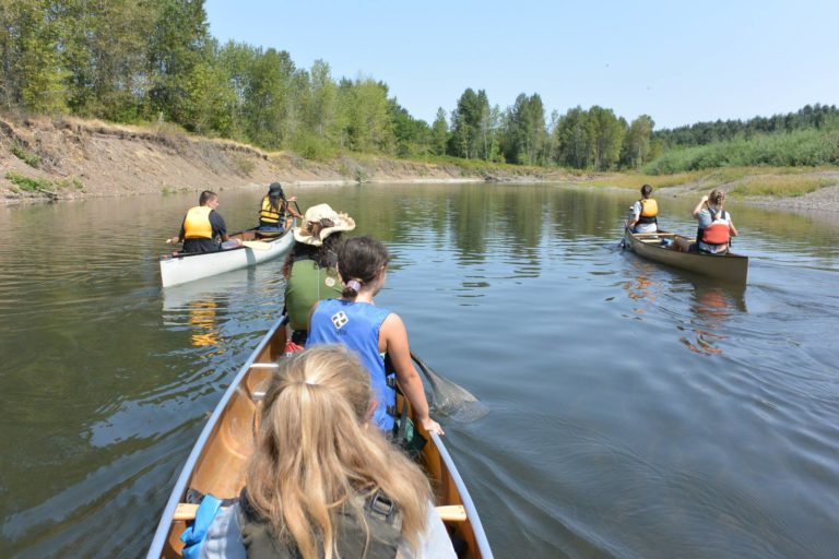 paddle2 768x512