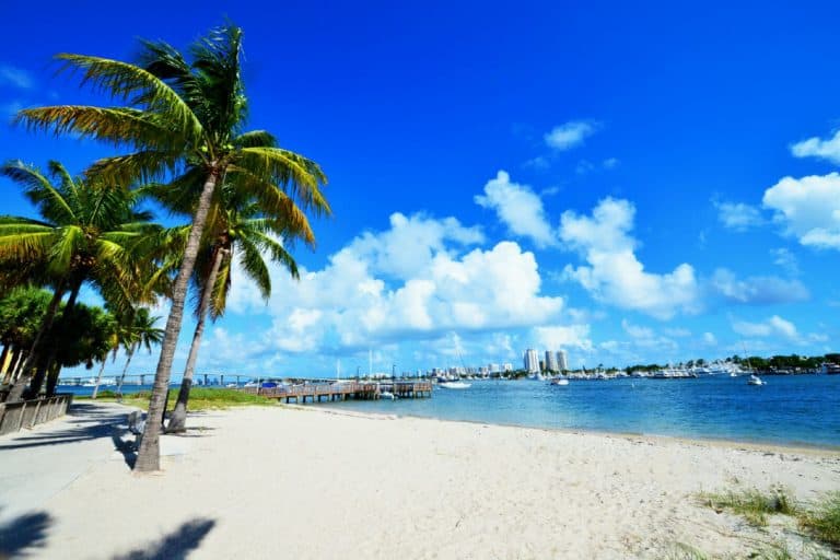 palm beach 768x512