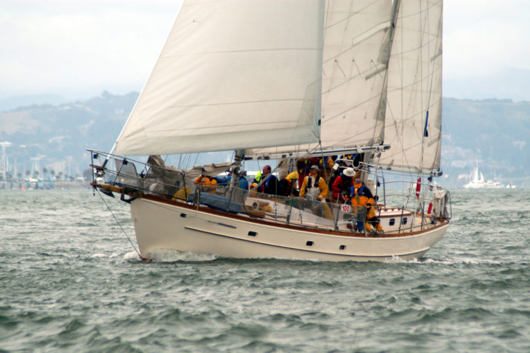 pegasusMM20053 768x511