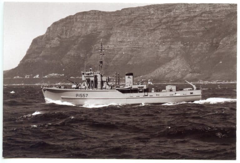 sa 768x522